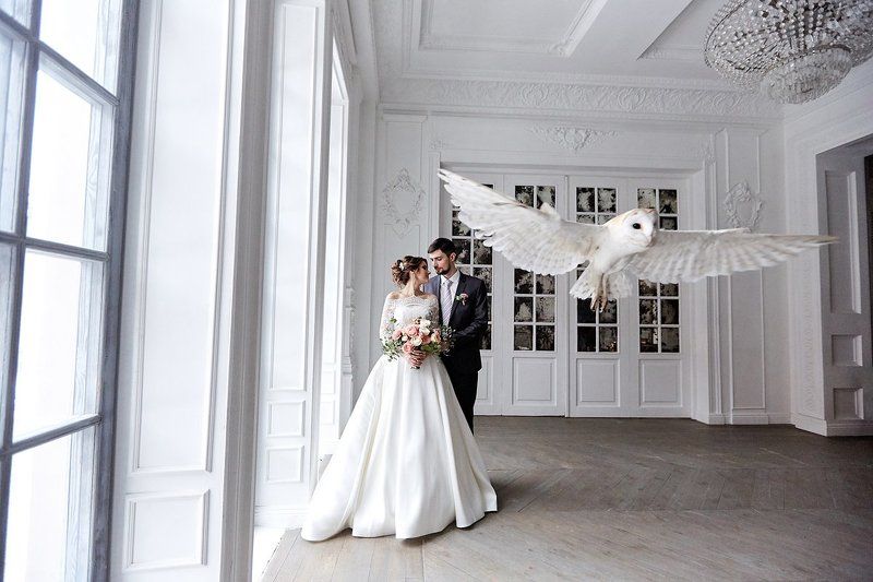 wedding, свадьба, сова Wedding фото превью