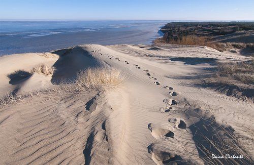 Dead dunes