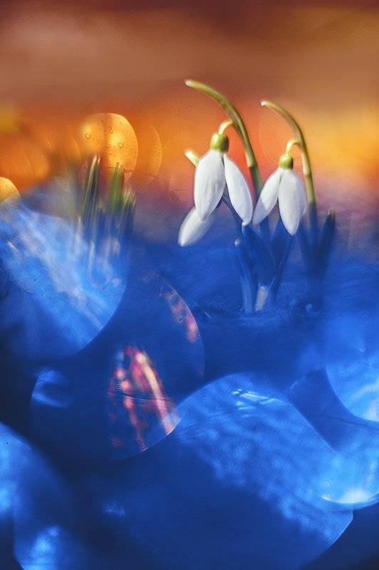 , Татьяна Аверина