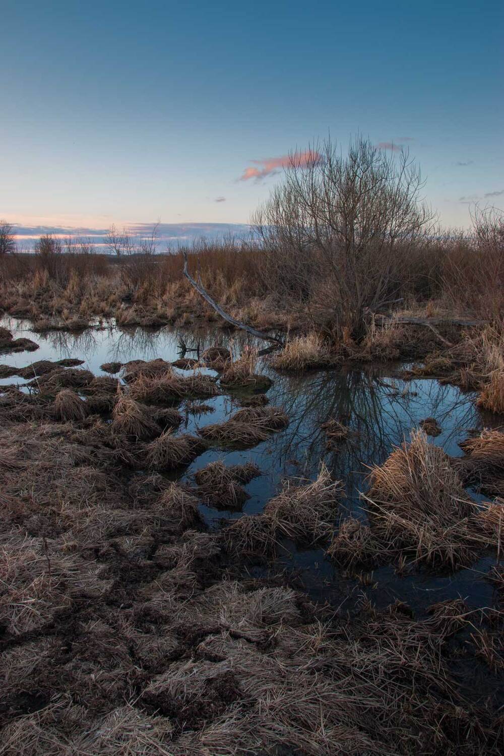 , Александр