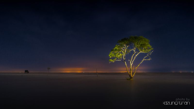 #lonely #tree #landscape Lonelytree фото превью