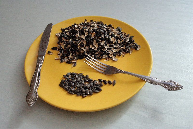 Завтрак бедного интеллигента фото превью