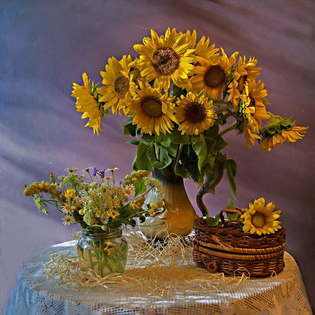 , Марина Соколова