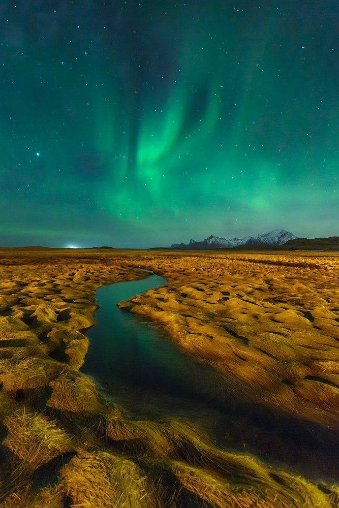 , Kani (kanipolat.com) Polat