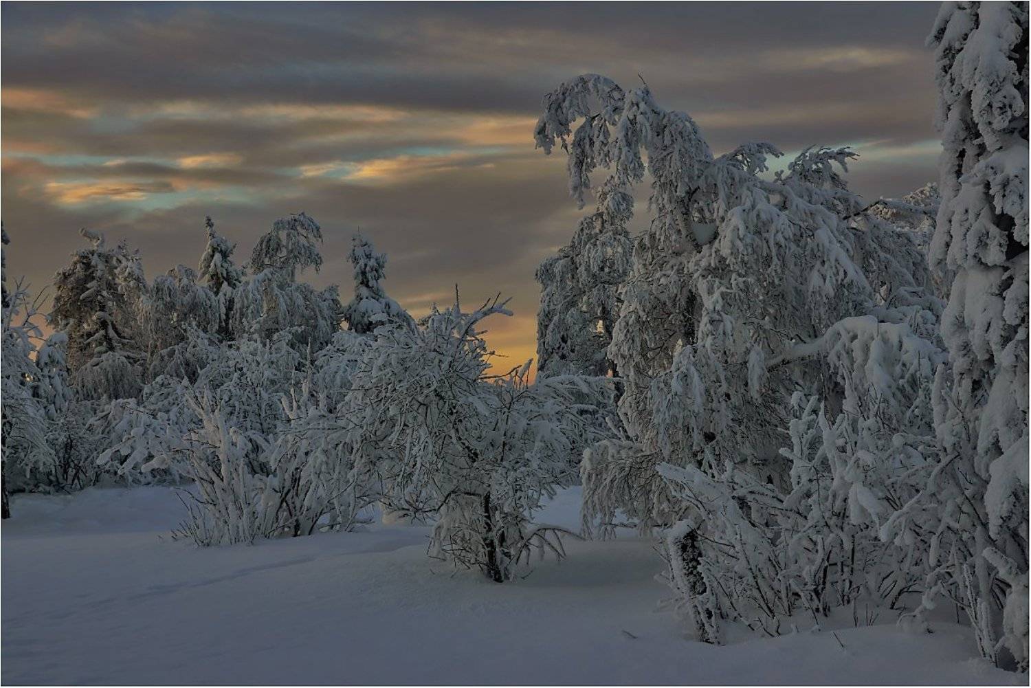 , Кондратьев Алексей
