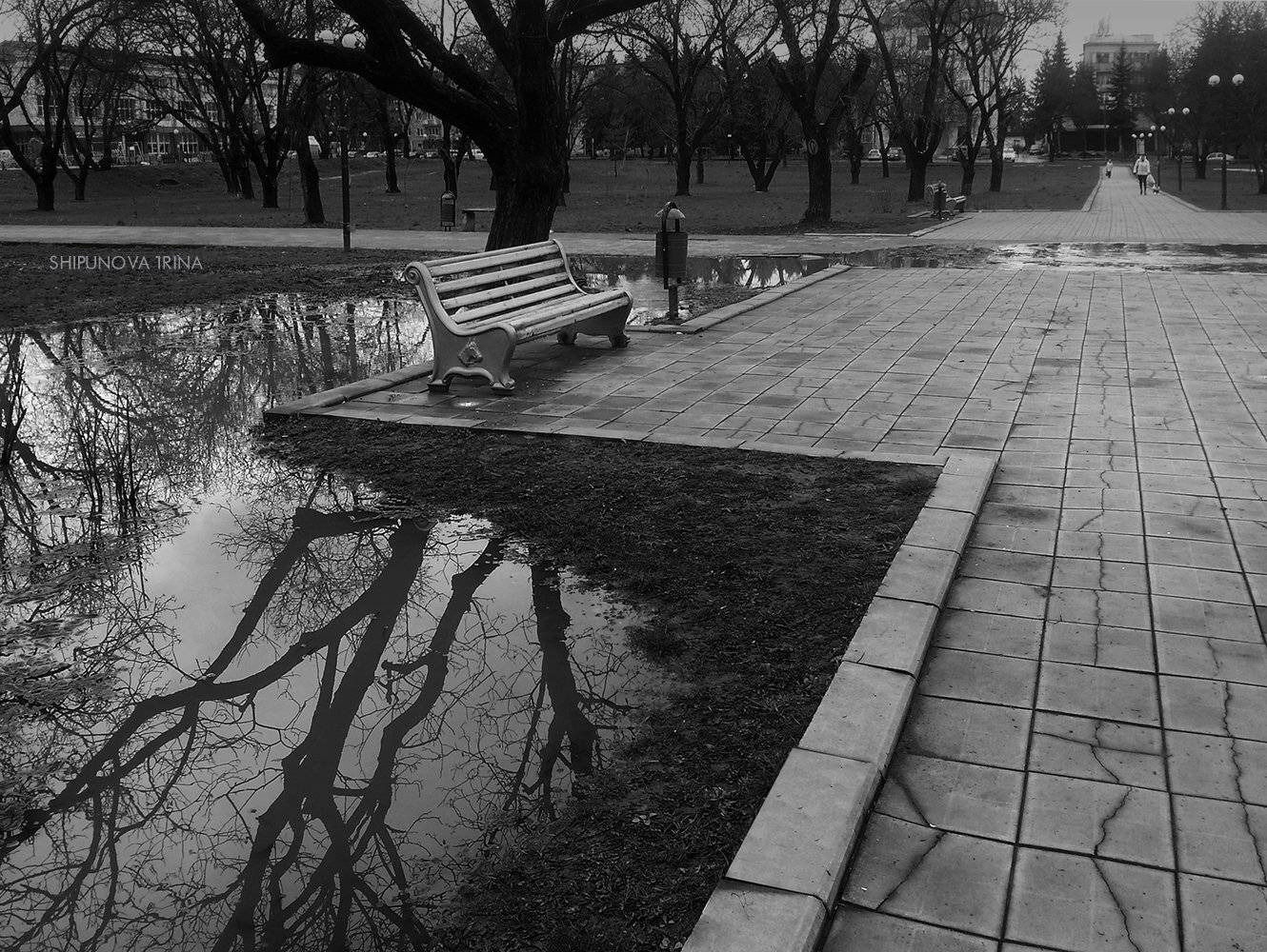 , Шипунова Ирина