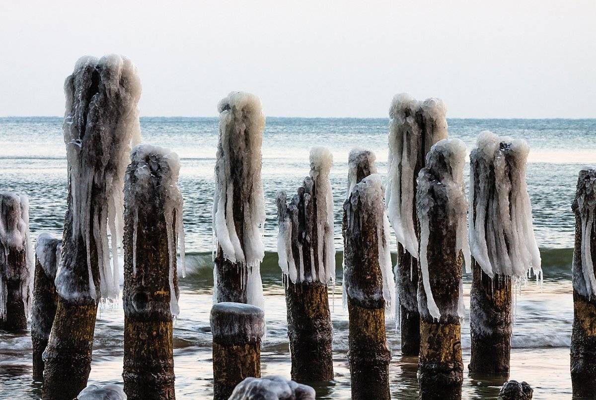 , Геннадий Новов