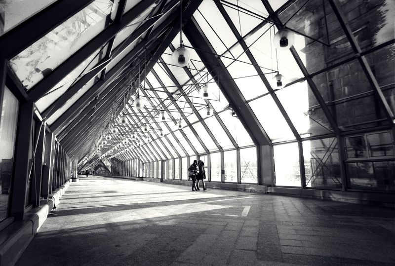 Пушкинский мост фото превью