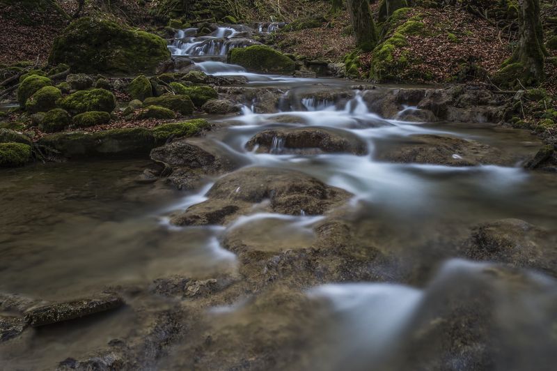 river,long exposure,stones,wood,zeiss milvus 21 river in the wood фото превью