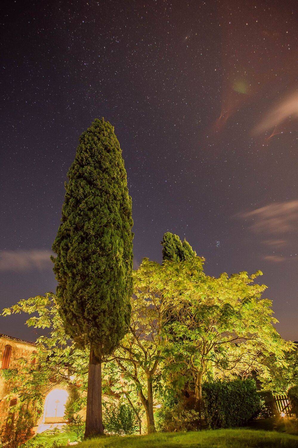 , Игорь Криницын