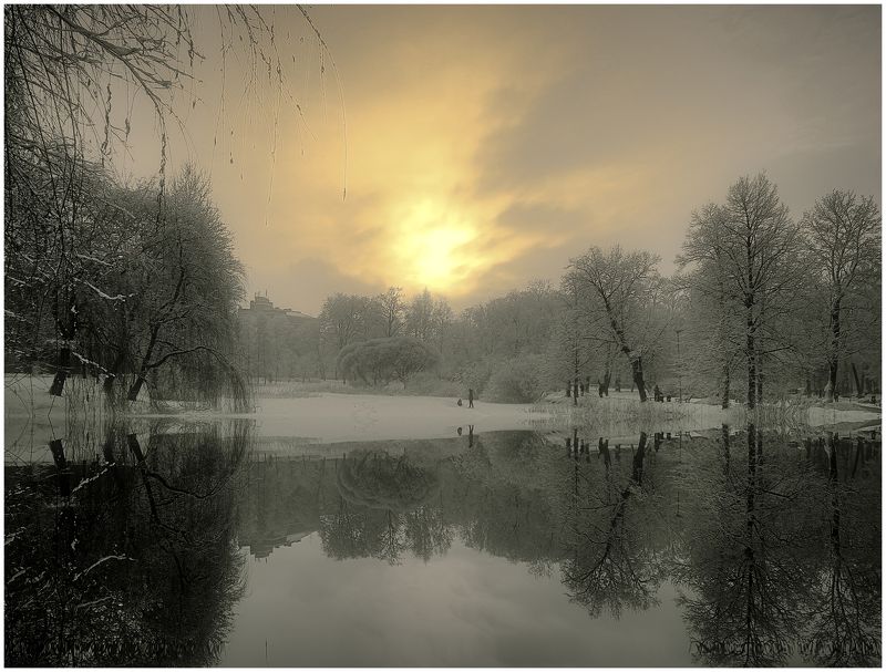 Городской пруд. фото превью