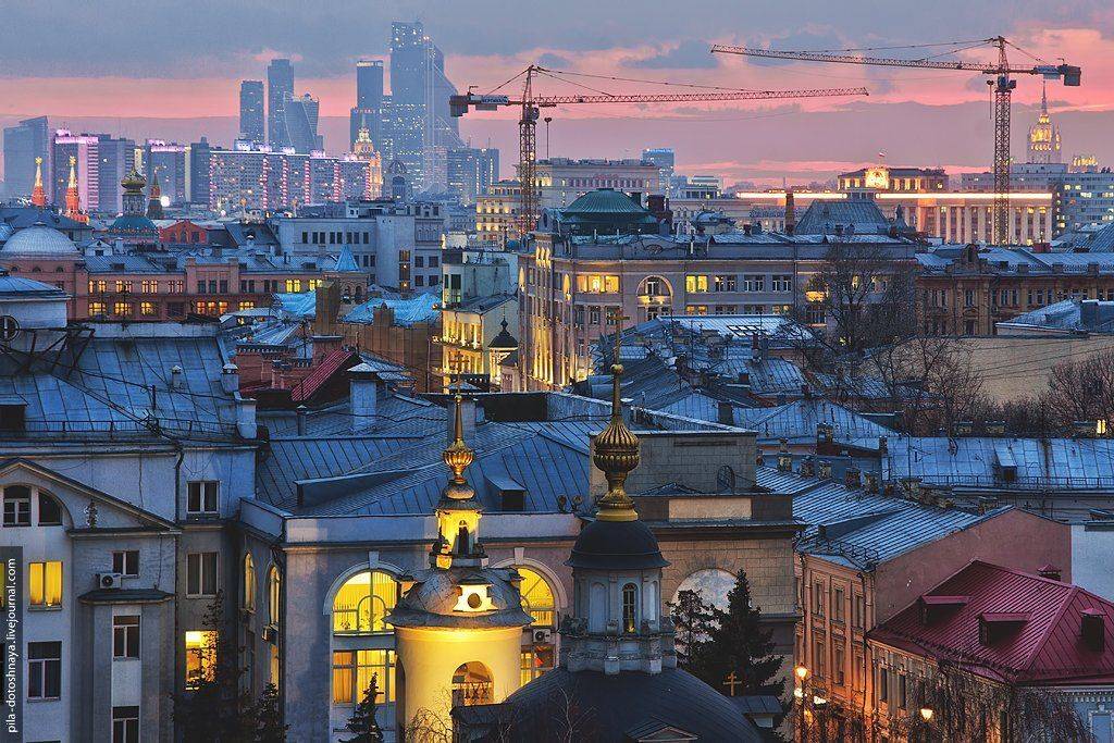 , Анна Аринова