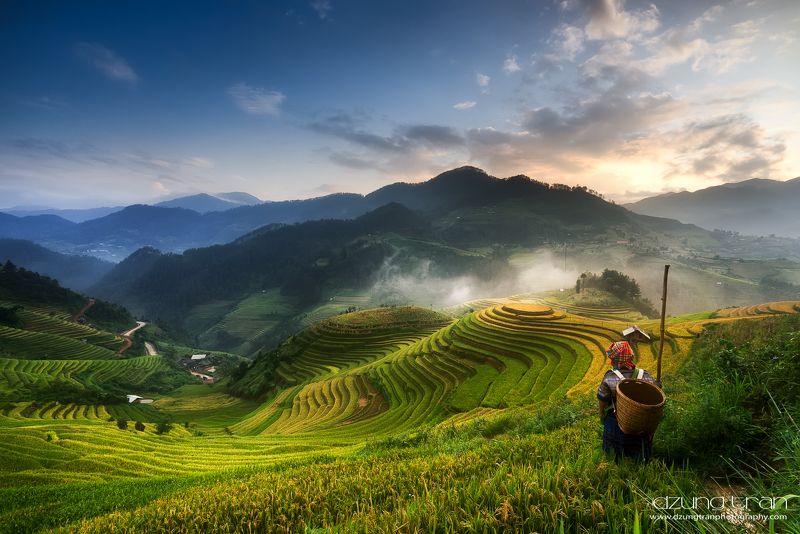 #mucangchai #sunset #vietnam #nature #people  Sunset at Mu Cang Chai фото превью