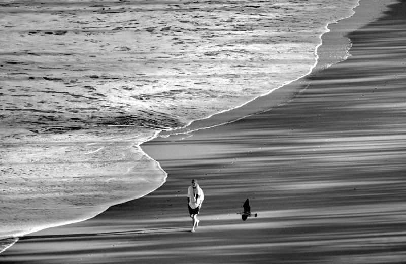 По дороге в тишину фото превью