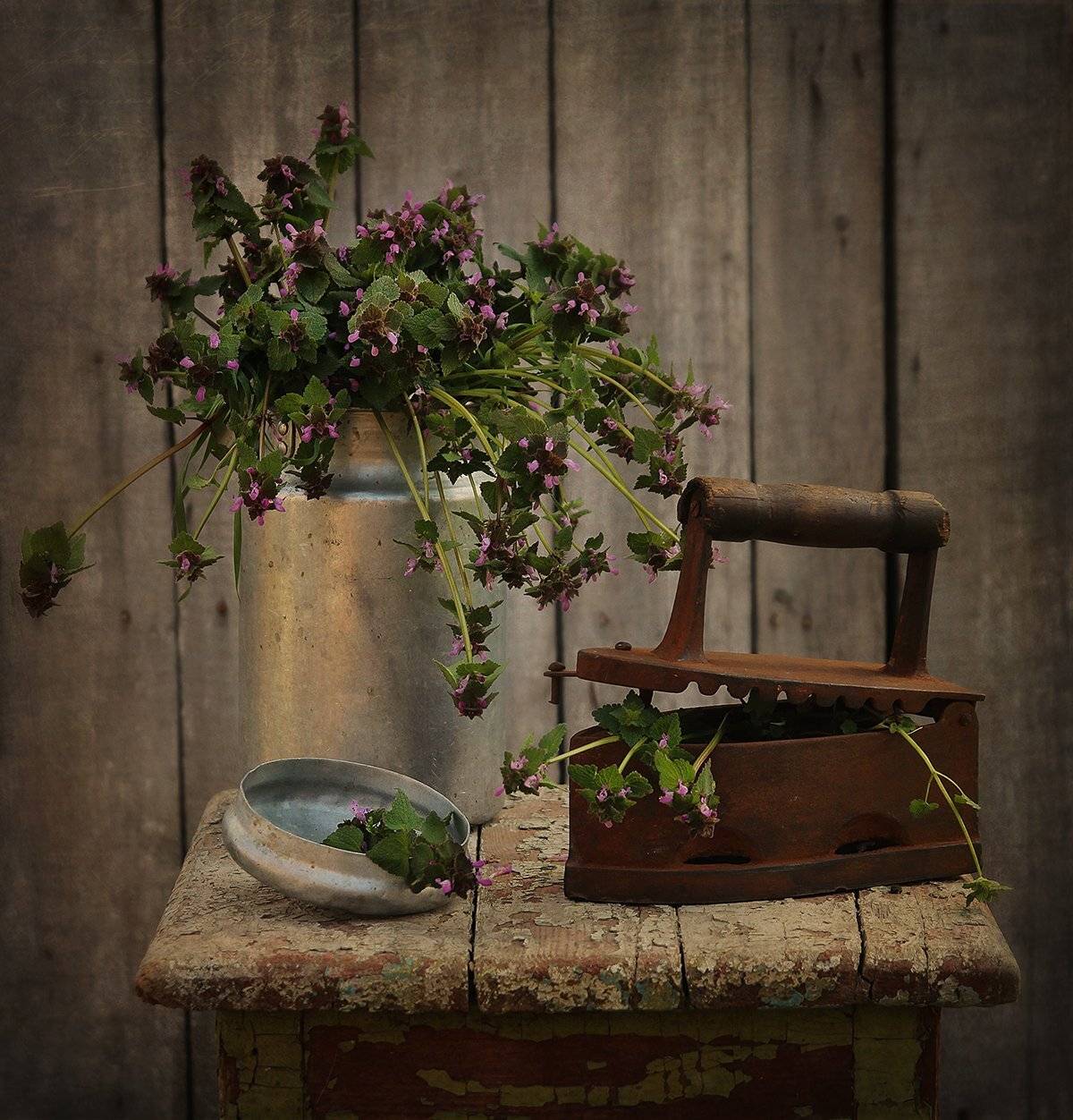 , Инна Сухова