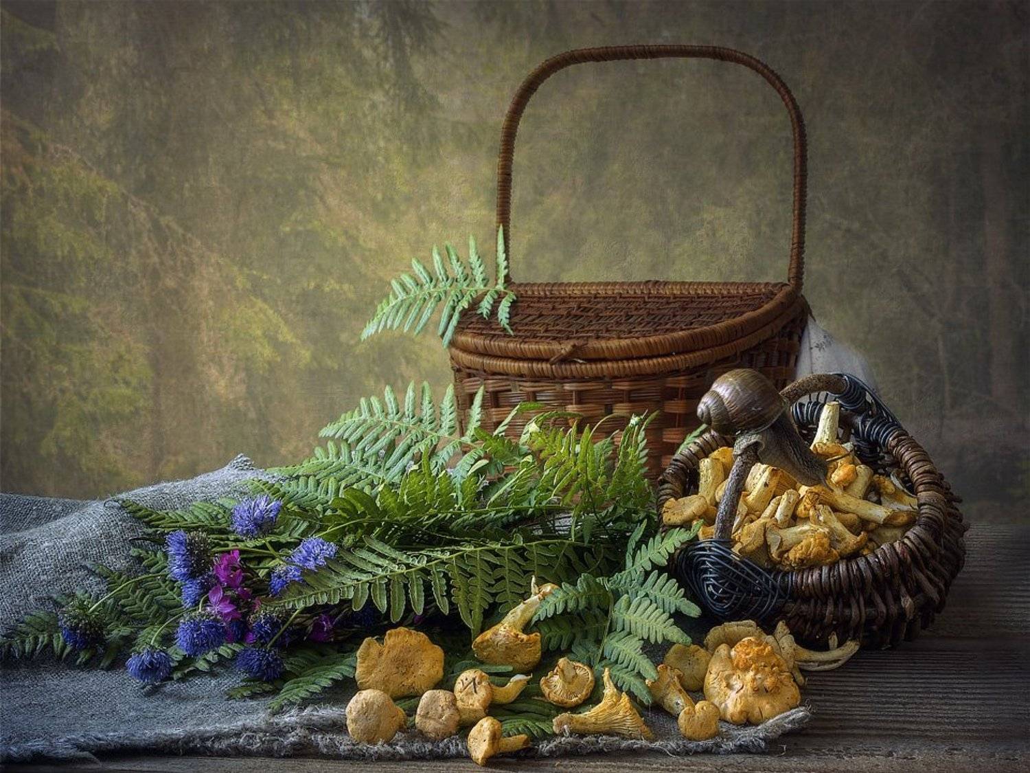 натюрморт, лисички, корзины, папоротник, лесные цветы, улитки, Ирина Приходько