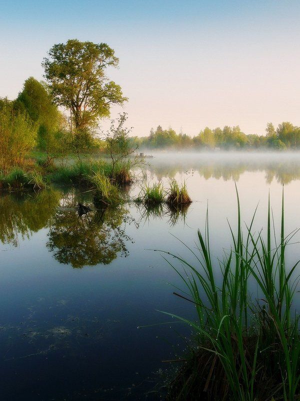 Утро фото превью