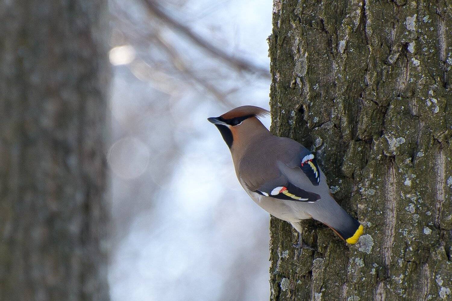 , Кузнецов Дмитрий