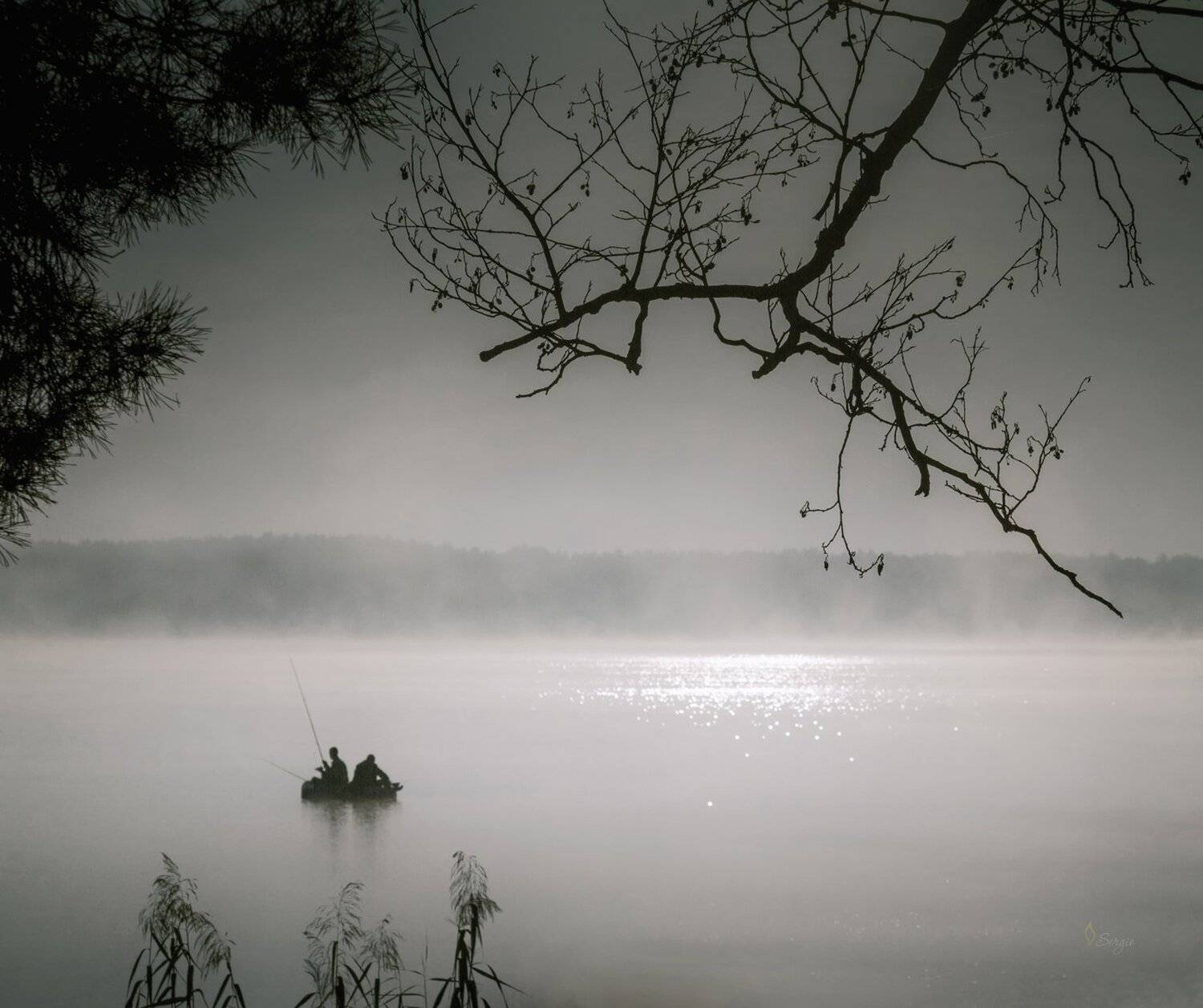 Беларусь, Серж Домбровский