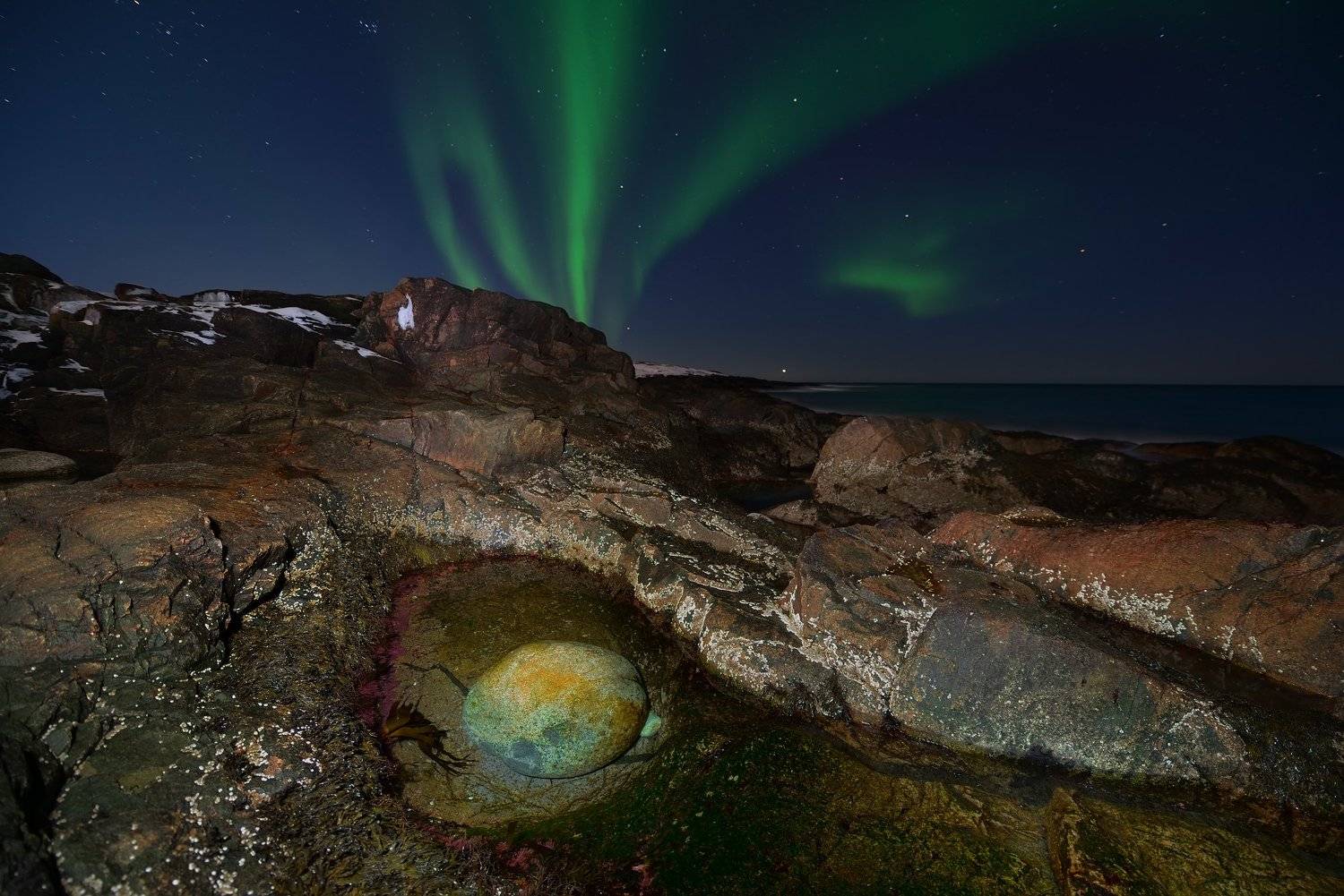 , Максим Евдокимов ( www.wildphotorus.ru )