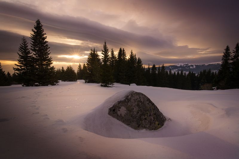 Витоша фото превью