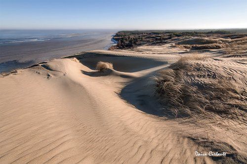 Dune curves