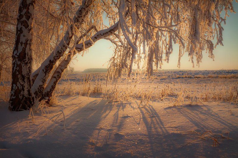Последние морозы фото превью