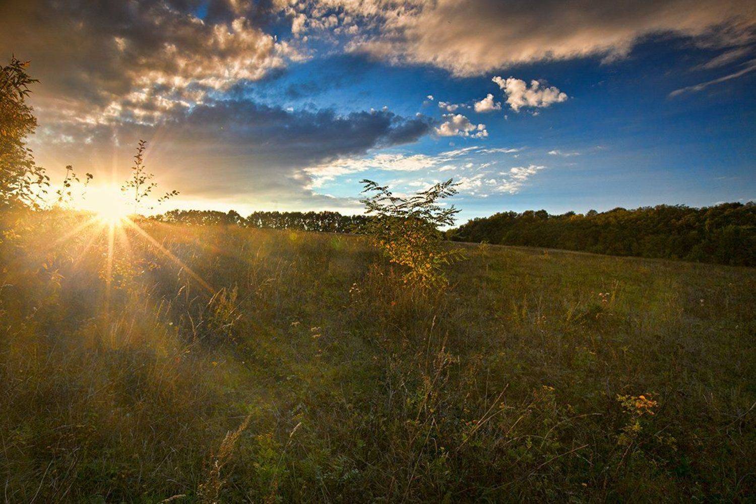 , Петр Антонович