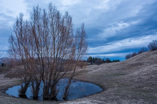 Плюшевые Карпаты.