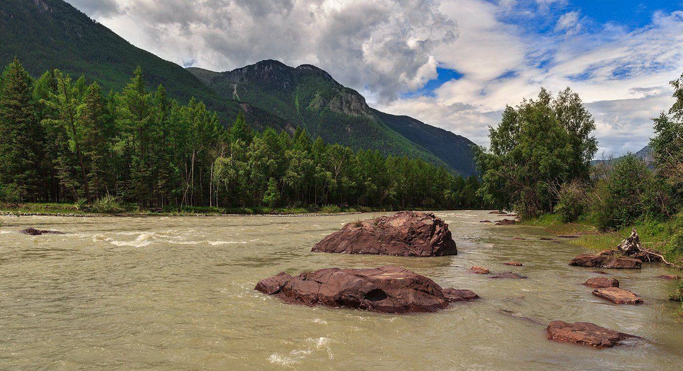 , Дмитрий Д.