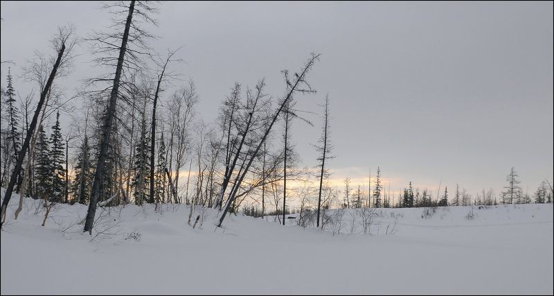 Таймыр,март,природа Воскресный пасмурный день фото превью