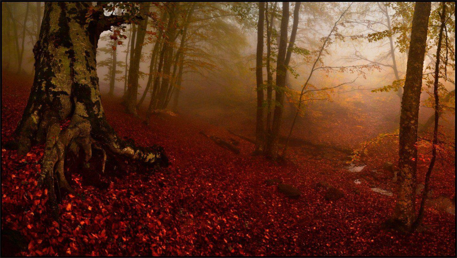 , Владимир Метцгер