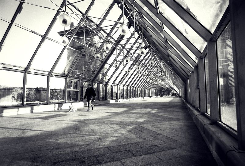 Пушкинский мост фото превью