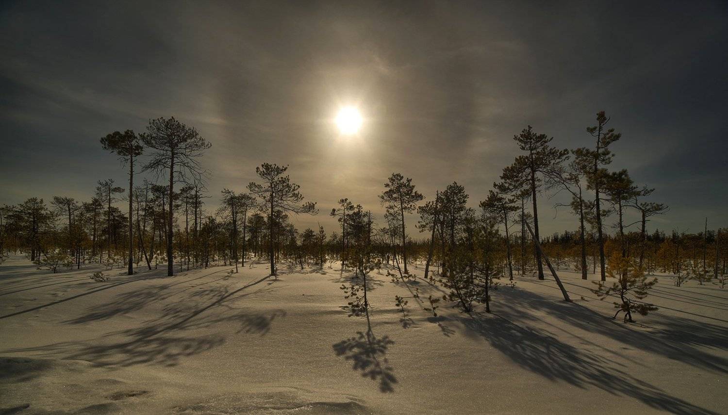 , Борис Полозков