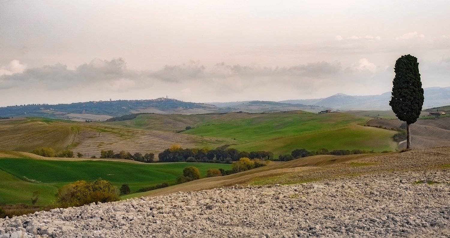 тoskana, Игорь Дубровский