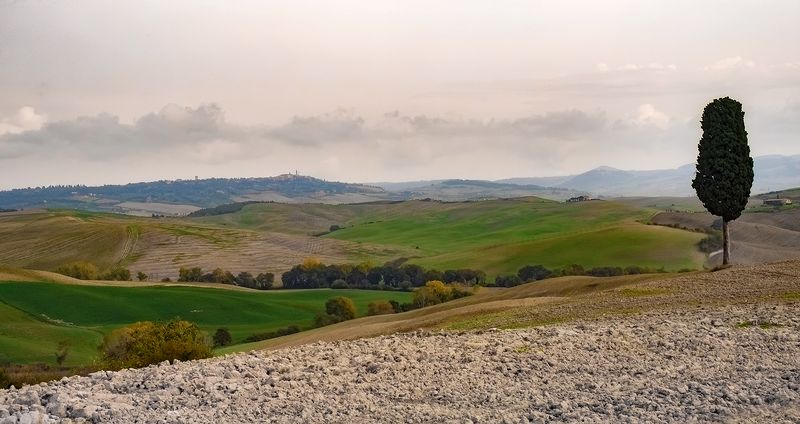 тoskana  фото превью