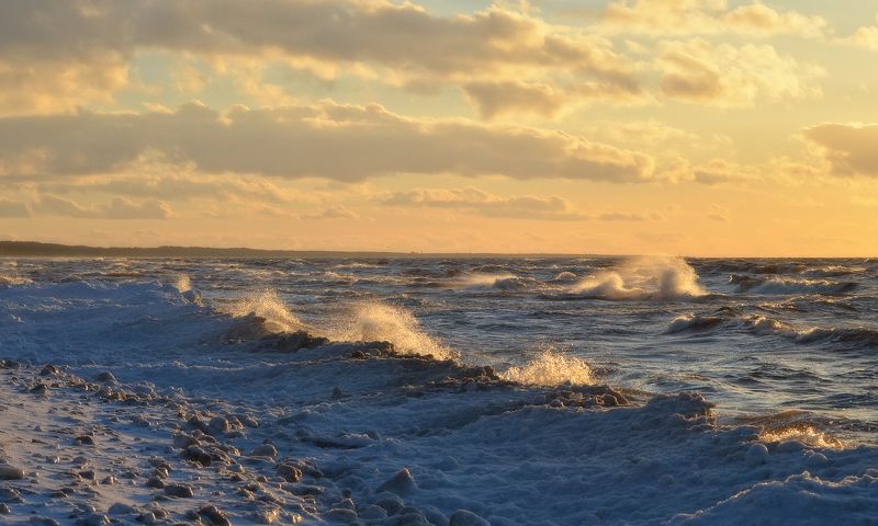 Ветер с моря дул (4) фото превью