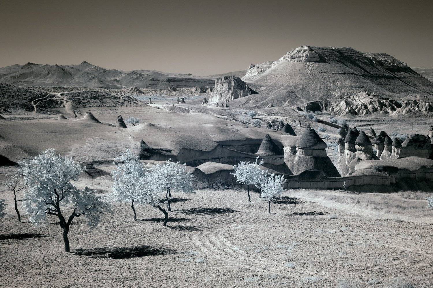 каппадокия,путешествие,инфракрасный,фильтр,турция,infrared,cappadocia,tree,mountain,, Олег Грачёв