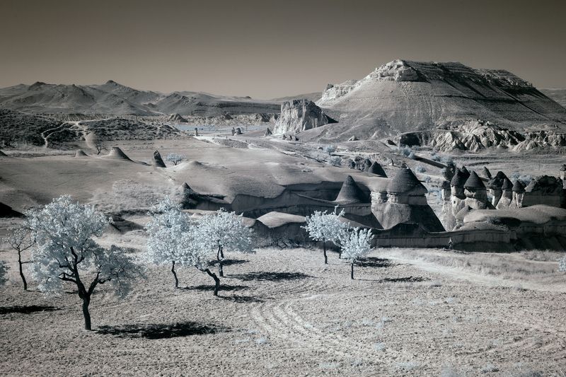 каппадокия,путешествие,инфракрасный,фильтр,турция,infrared,cappadocia,tree,mountain, \