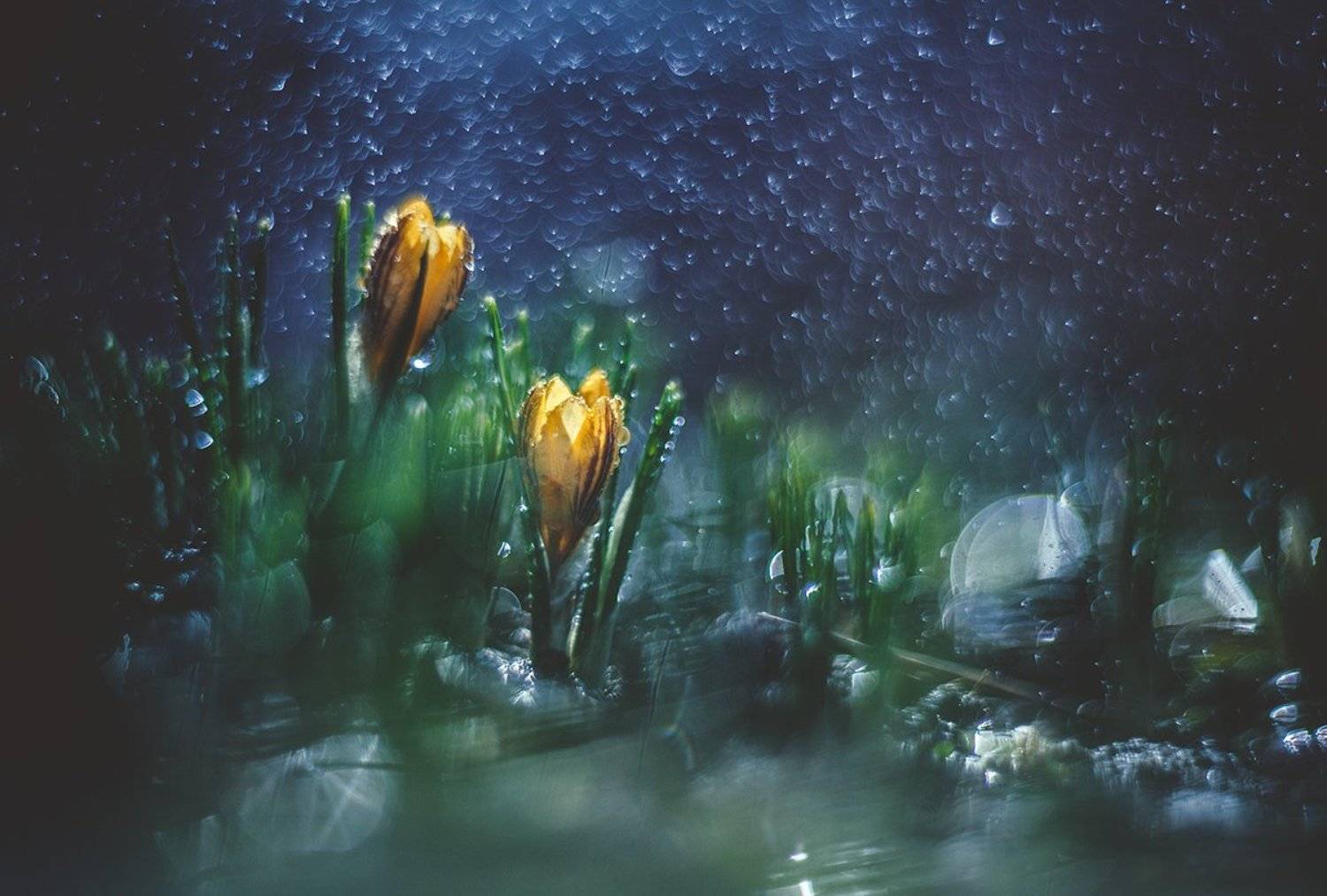 , Татьяна Аверина