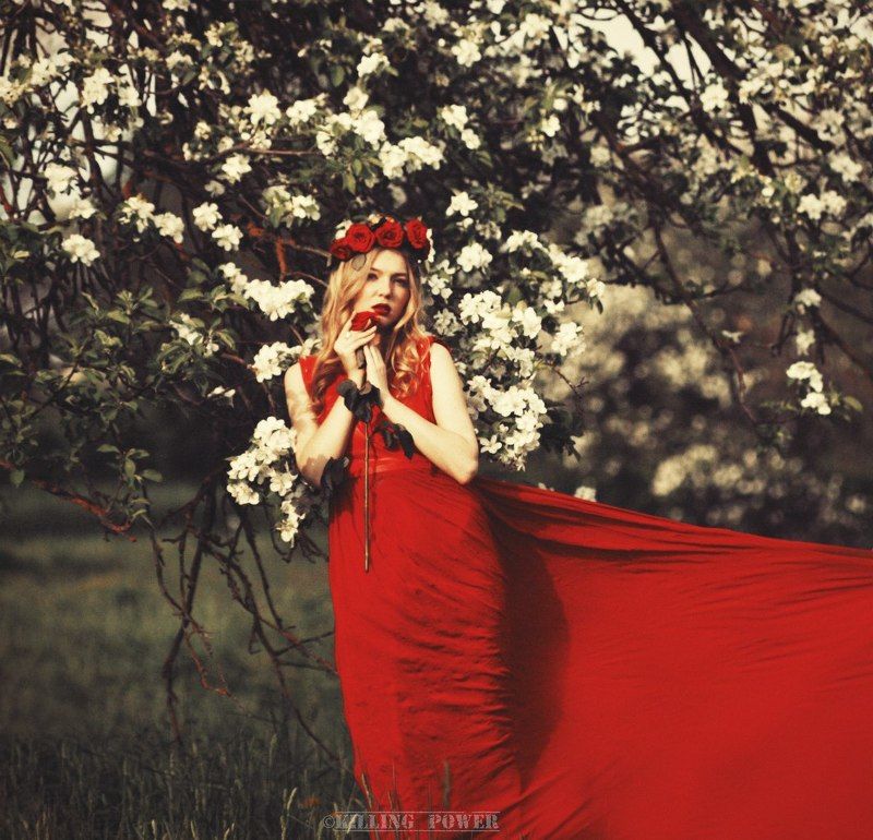 killingpower, valerabatai The Christine\'s Melody фото превью