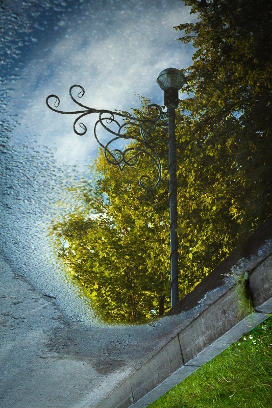 отражение, sigma, dp1 Отражения фото превью