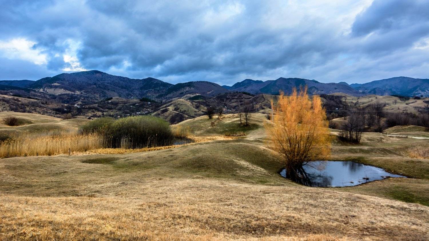 romanian carpathians, platoul meledic, manzalesti, romania, румыния, карпаты, Виктор Голобородько