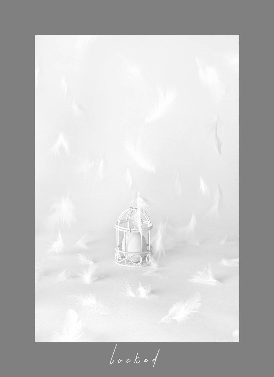 яйцо, клетка, взаперти, перья, белый, концепт, Наталья Голубева