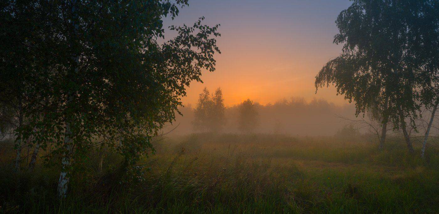 лето, рассвет, август, луг, туман, Галанзовская Оксана