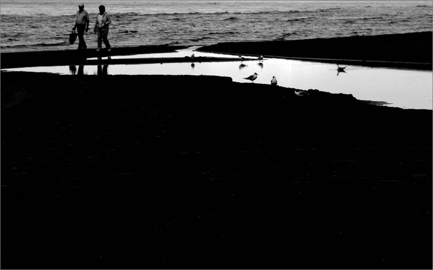 залив, лето, люди, лето, Анна Тимофеева