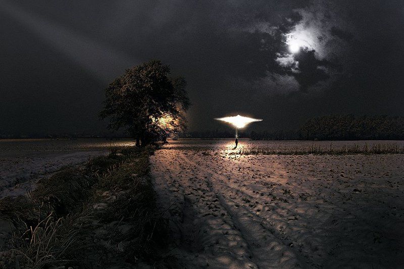 wake,mood,they,night,field,sony,light,time,alone, Incontri Ravvicinati © фото превью