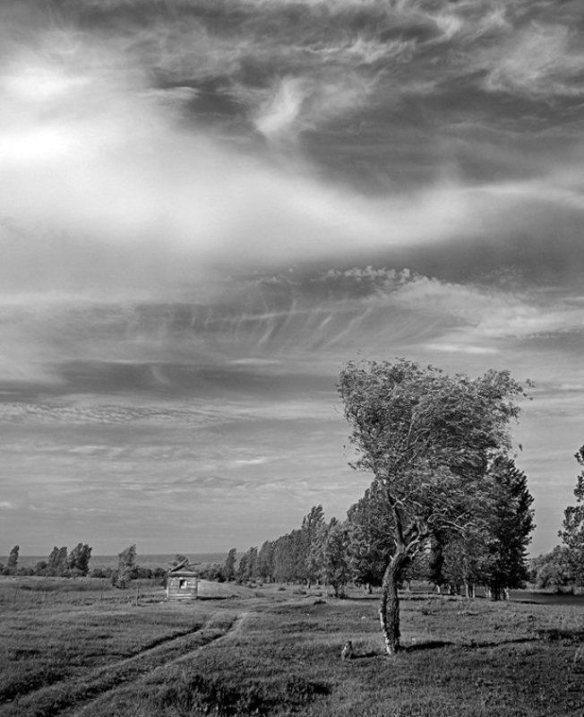 пейзаж с домиком фото превью