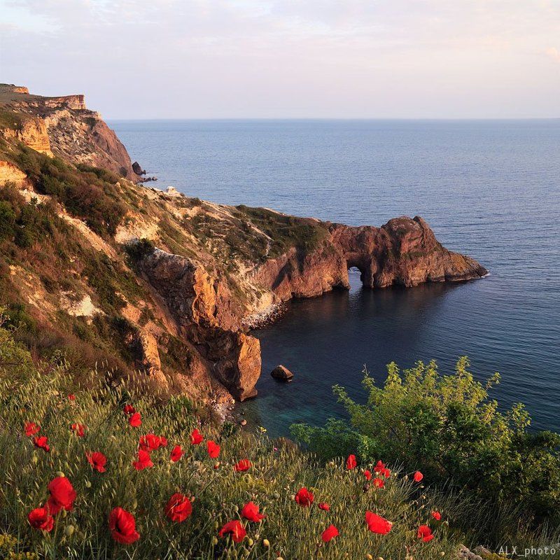 В мае. фото превью