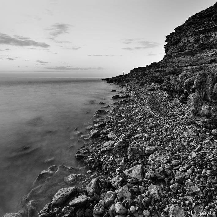 , Алексей Шевцов